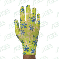 Կանաչ-կապույտ