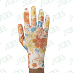 Սպիտակ-նարնջագույն